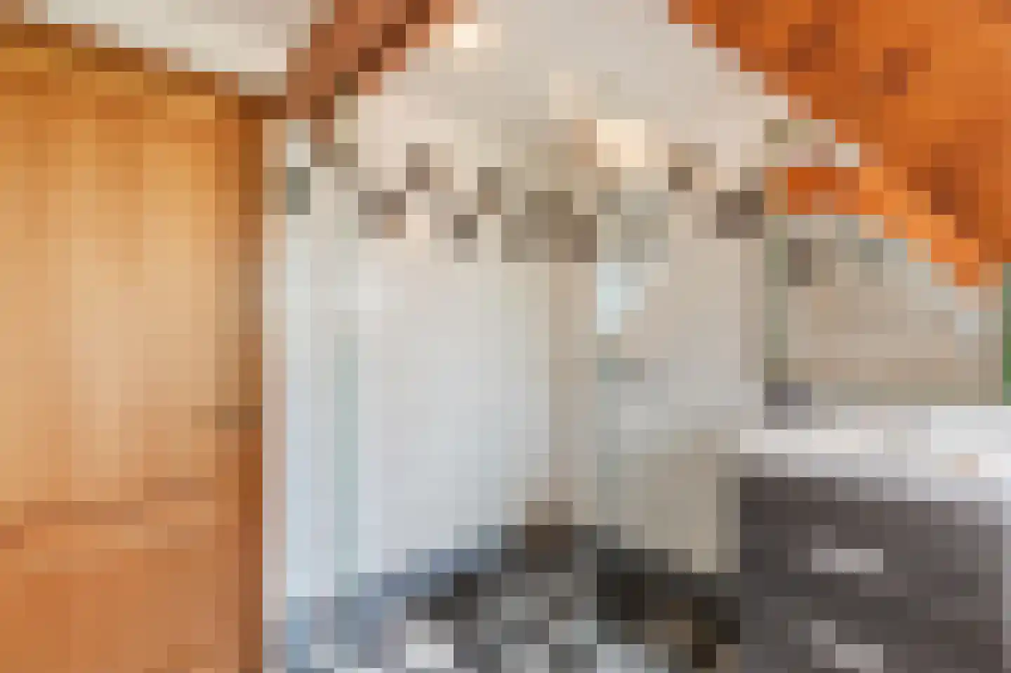 Bergsebaan 10 Nispen thumbnail 39