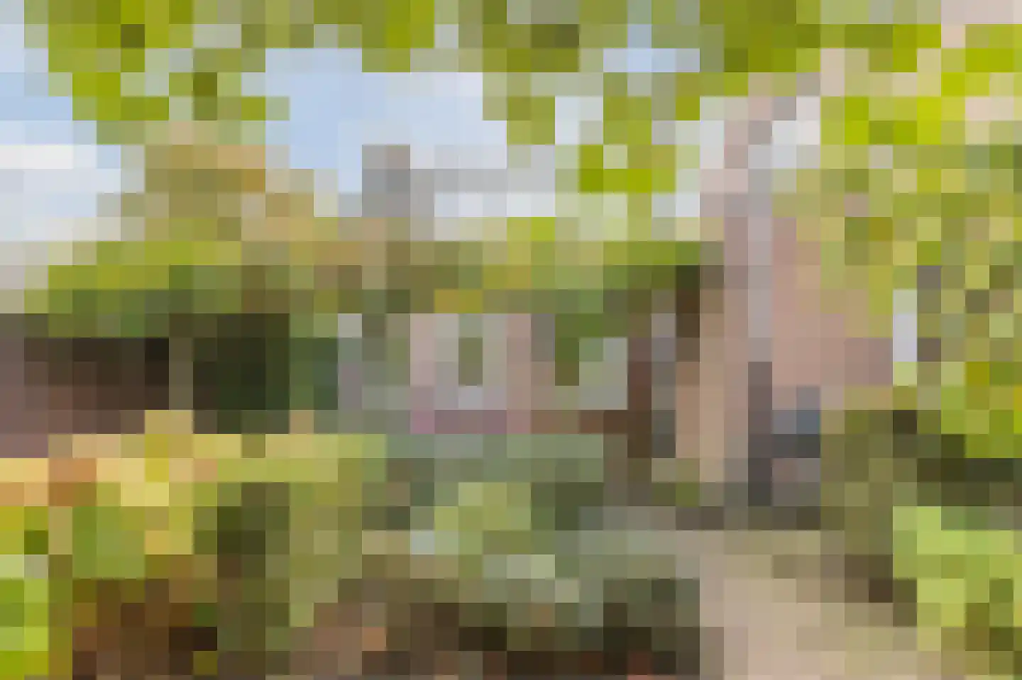 Bergsebaan 10 Nispen thumbnail 43
