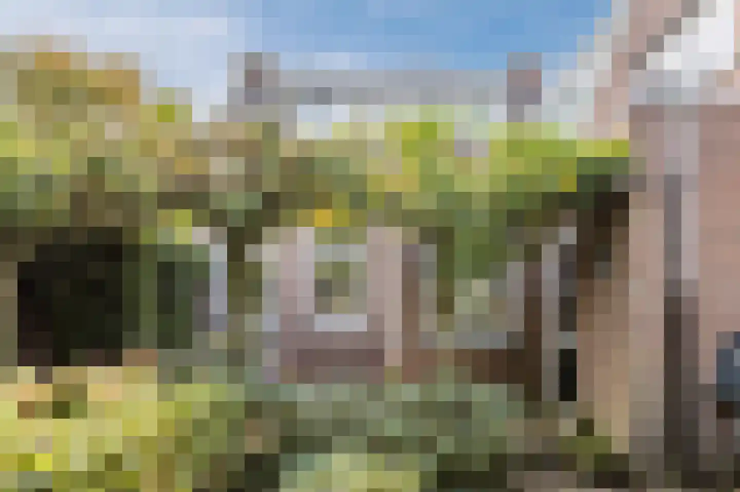 Bergsebaan 10 Nispen thumbnail 44