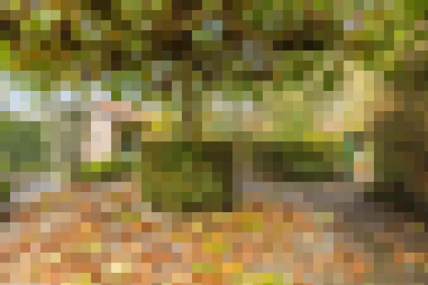 Bergsebaan 10 Nispen thumbnail 48