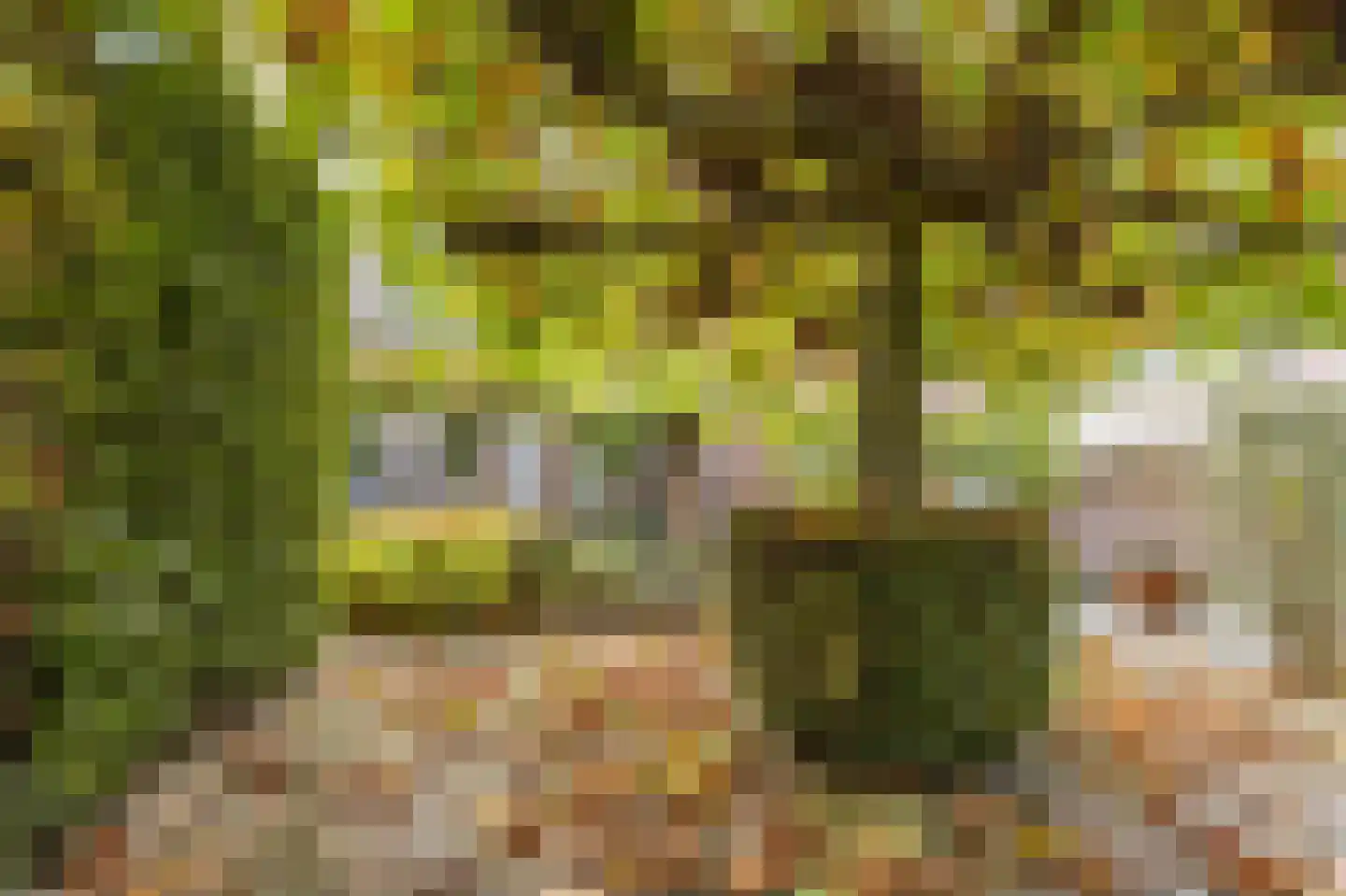 Bergsebaan 10 Nispen thumbnail 49