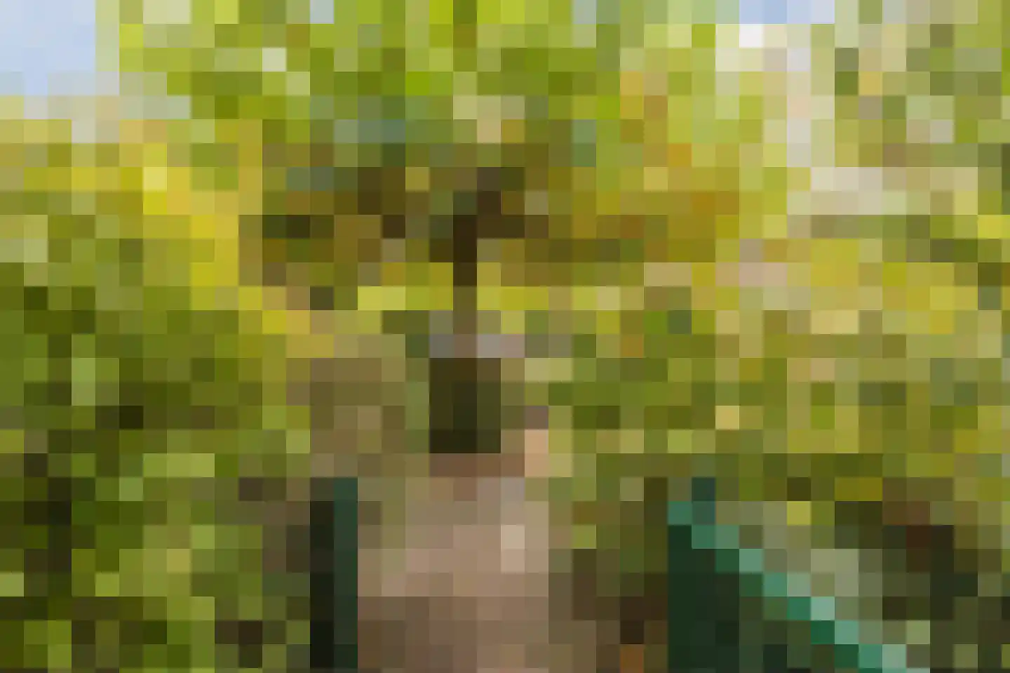 Bergsebaan 10 Nispen thumbnail 50