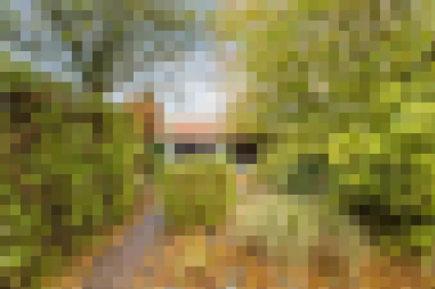 Bergsebaan 10 Nispen thumbnail 51
