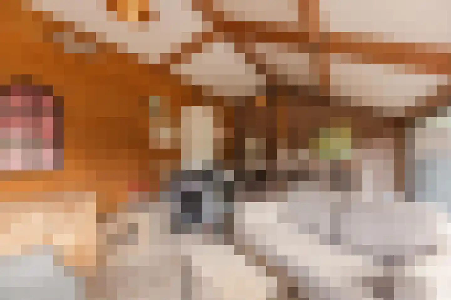 Bergsebaan 10 Nispen thumbnail 53