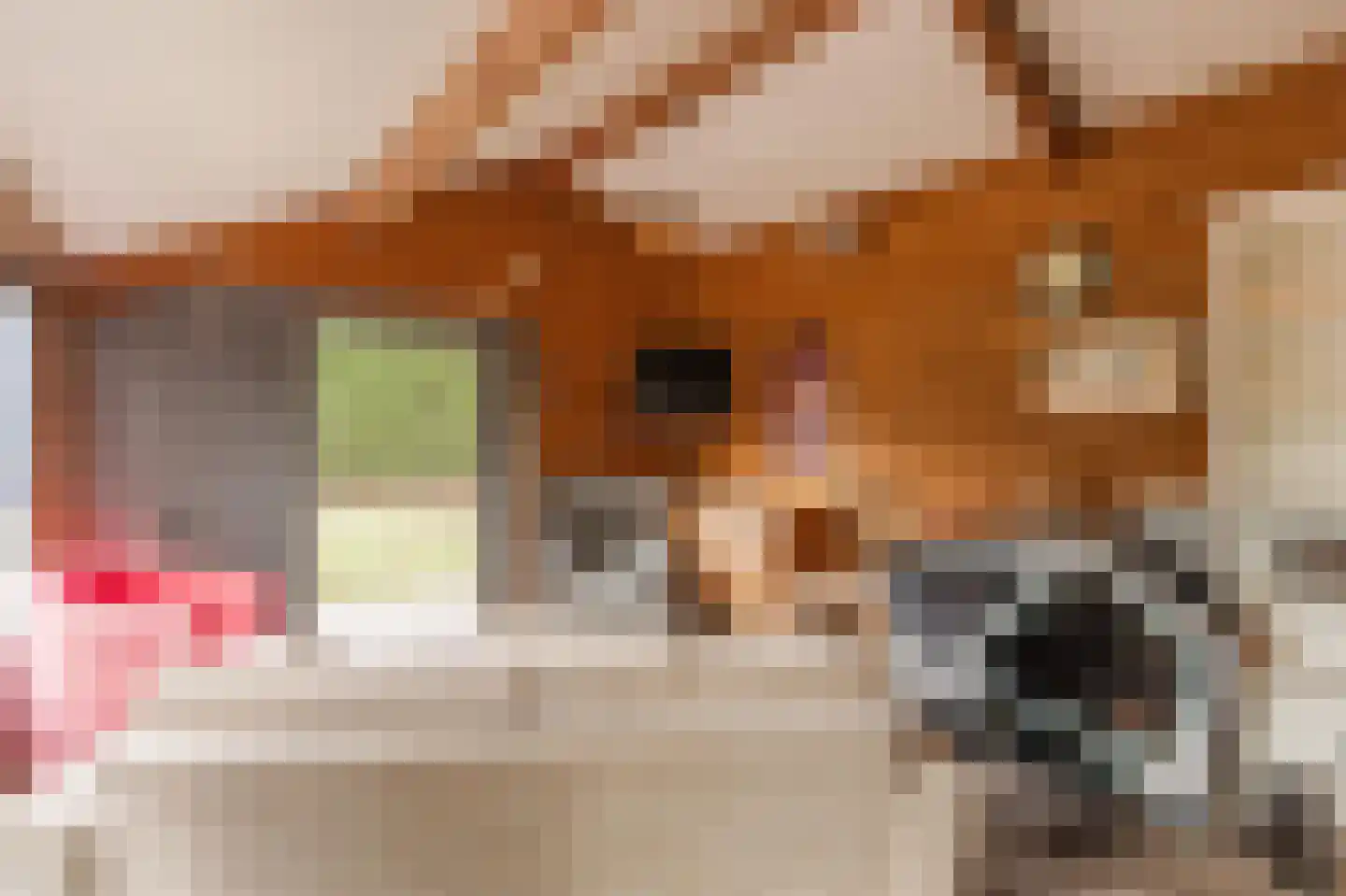 Bergsebaan 10 Nispen thumbnail 54