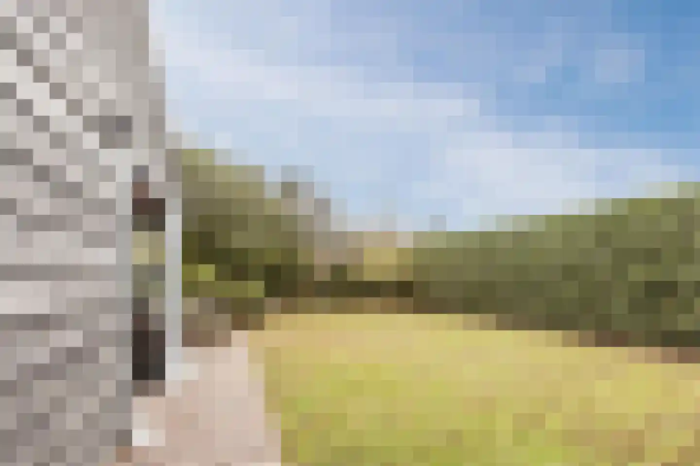 Bergsebaan 10 Nispen thumbnail 55