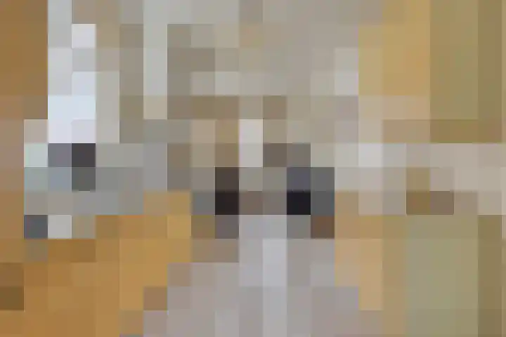 Bergsebaan 22 Heerle thumbnail 21
