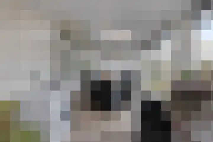 Bergsebaan 22 Heerle thumbnail 27
