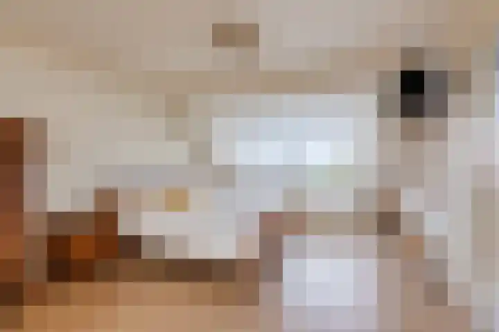 Bergsebaan 22 Heerle thumbnail 31