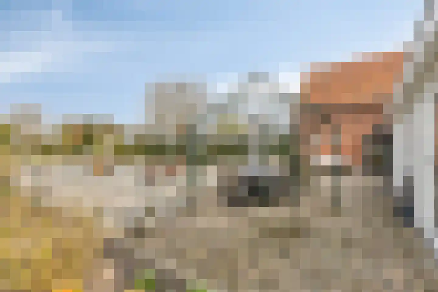 Bergsebaan 22 Heerle thumbnail 41