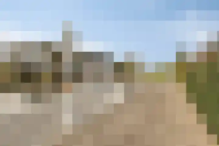 Bergsebaan 22 Heerle thumbnail 44