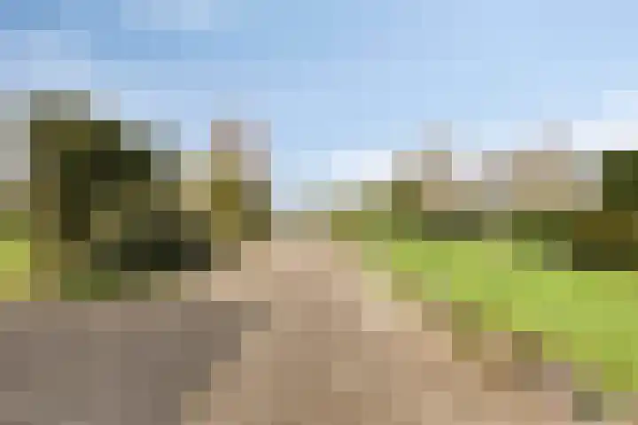 Bergsebaan 22 Heerle thumbnail 47