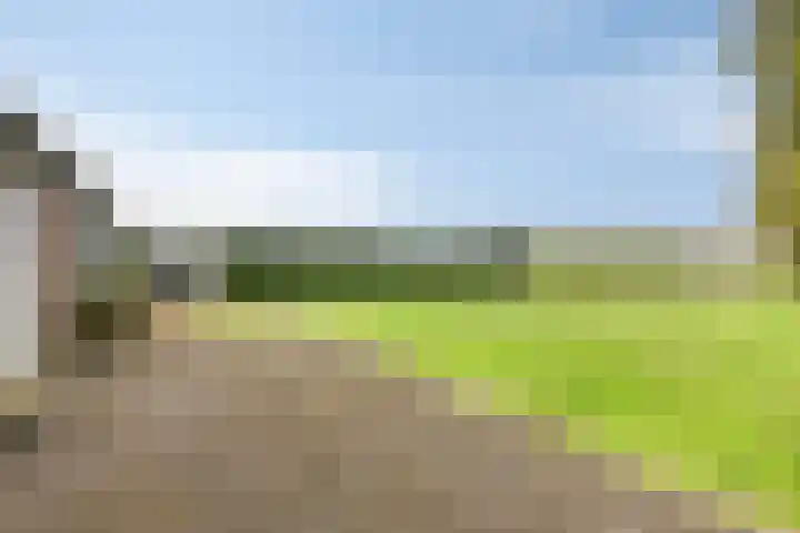Bergsebaan 22 Heerle thumbnail 48