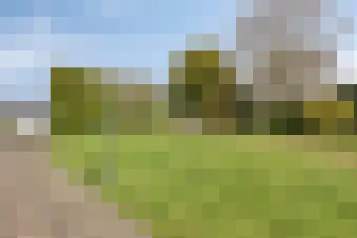 Bergsebaan 22 Heerle thumbnail 51
