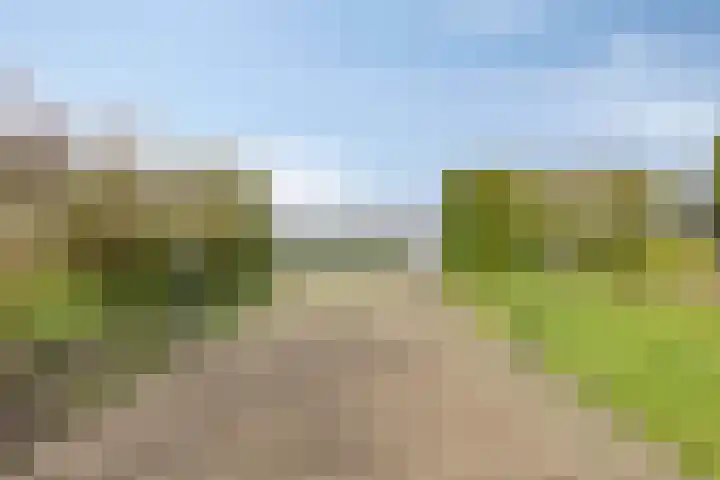 Bergsebaan 22 Heerle thumbnail 52