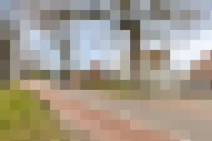 Bergsebaan 22 Heerle thumbnail 6