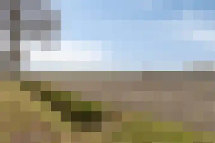 Bergsebaan 22 Heerle thumbnail 61