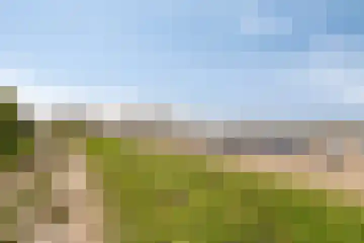 Bergsebaan 22 Heerle thumbnail 62