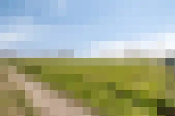 Bergsebaan 22 Heerle thumbnail 64