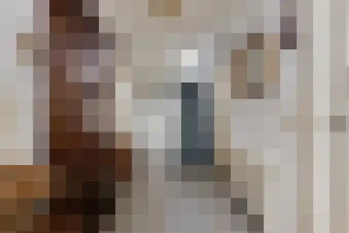 Bergsebaan 22 Heerle thumbnail 9