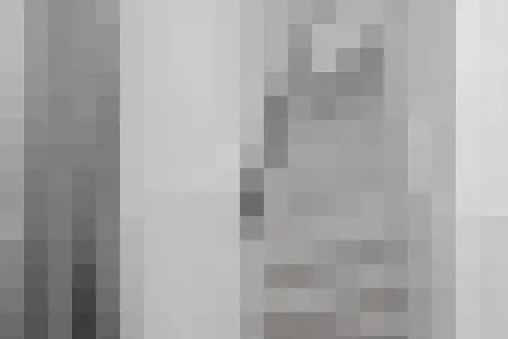 Bergsebaan 31 Nispen thumbnail 27
