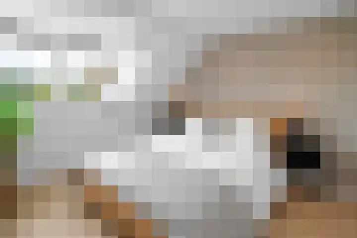 Bergsebaan 31 Nispen thumbnail 29