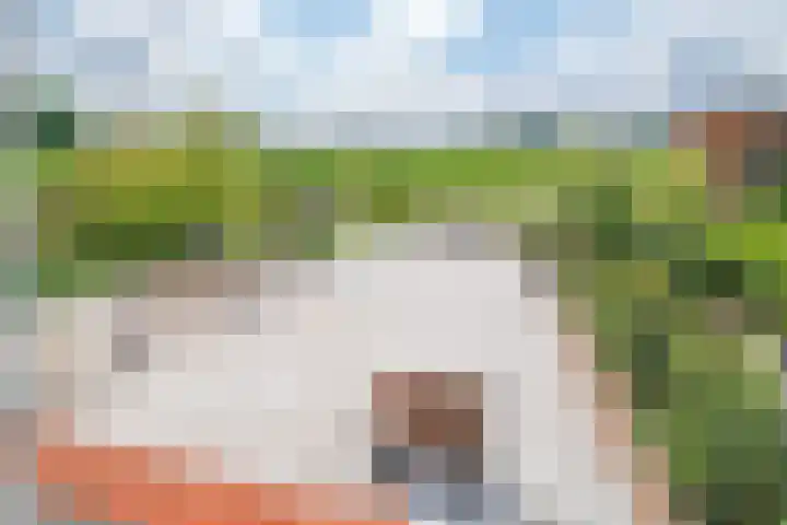 Bergsebaan 31 Nispen thumbnail 31
