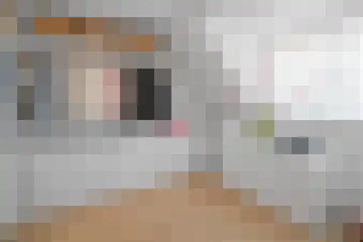 Bergsebaan 31 Nispen thumbnail 34