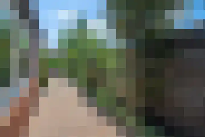 Bergsebaan 31 Nispen thumbnail 39