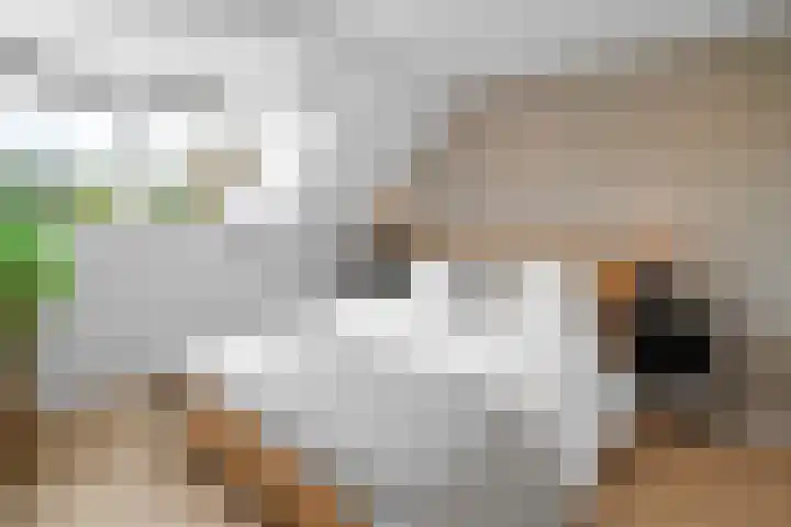 Bergsebaan 31 Nispen thumbnail 5
