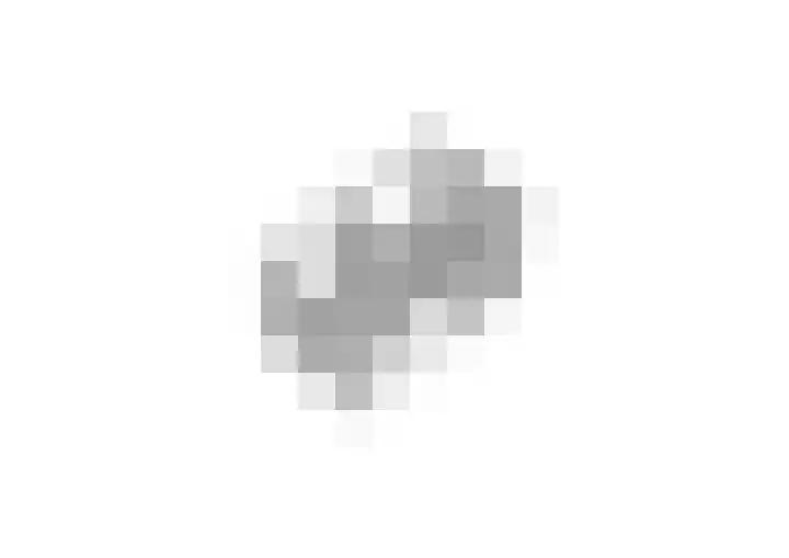 Bergsebaan 31 Nispen thumbnail 66