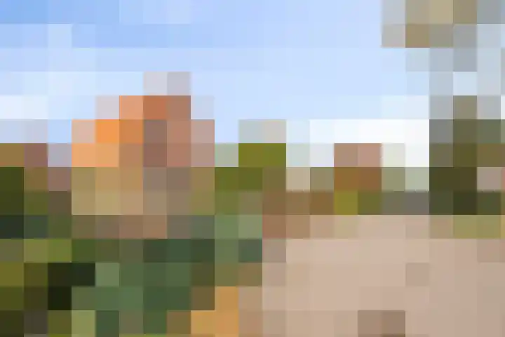 Bergsebaan 38 Heerle thumbnail 33