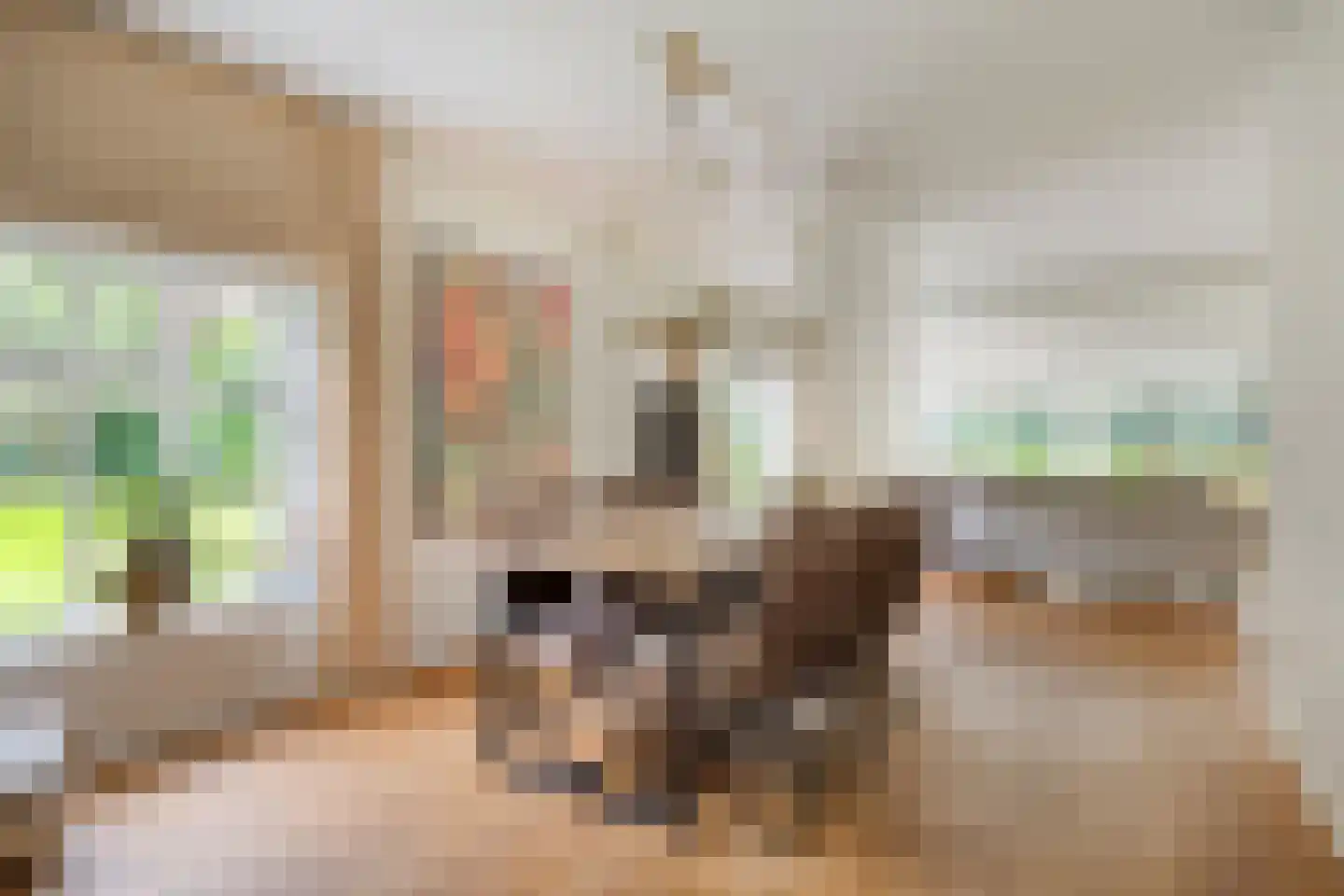 Bergsebaan 4 Bergen op Zoom thumbnail 22