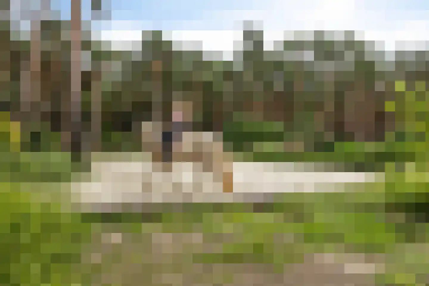 Bergsebaan 4 Bergen op Zoom thumbnail 4