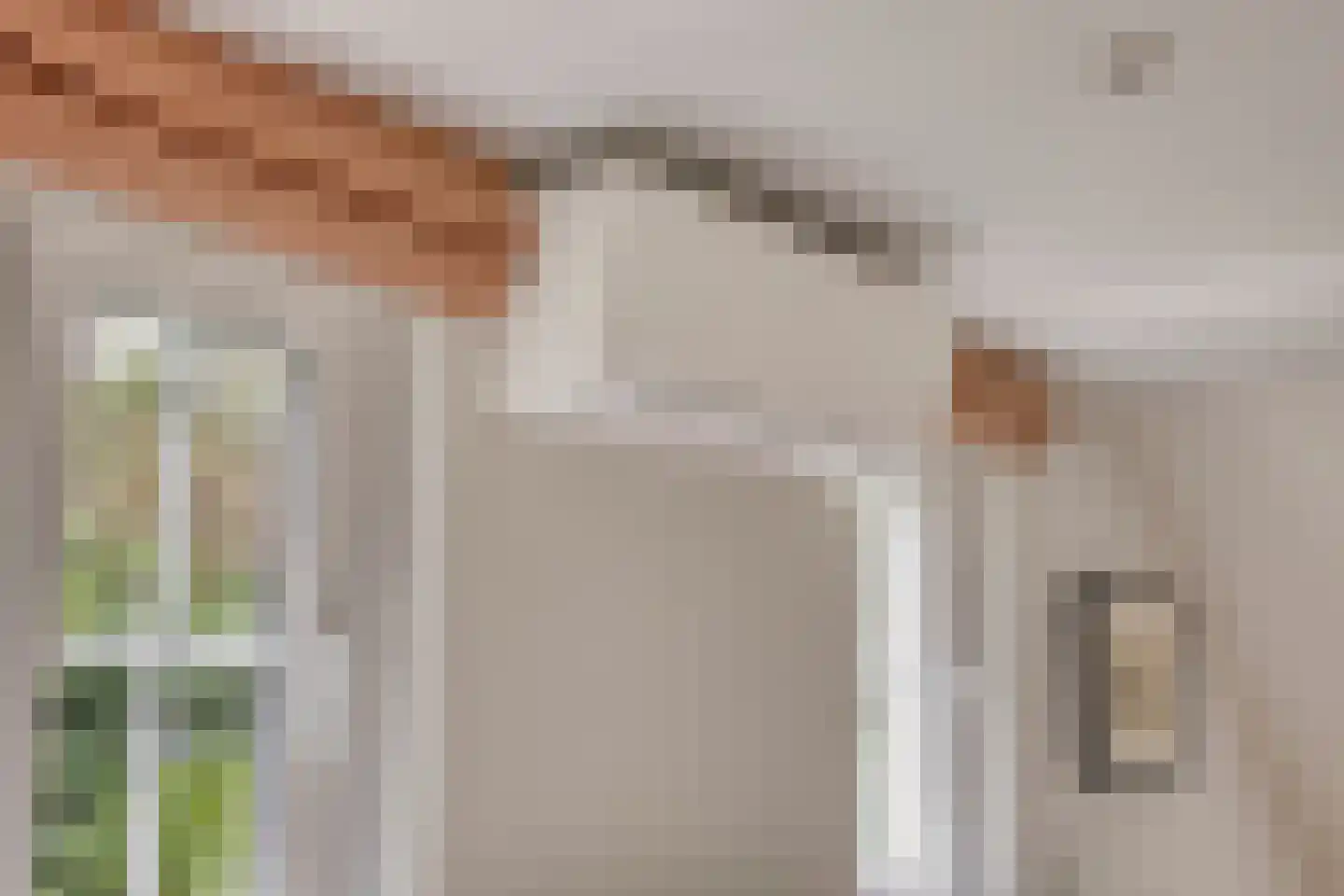 Bergsebaan 4 Bergen op Zoom thumbnail 41