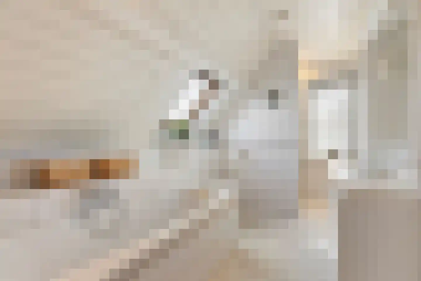 Bergsebaan 4 Nispen thumbnail 18