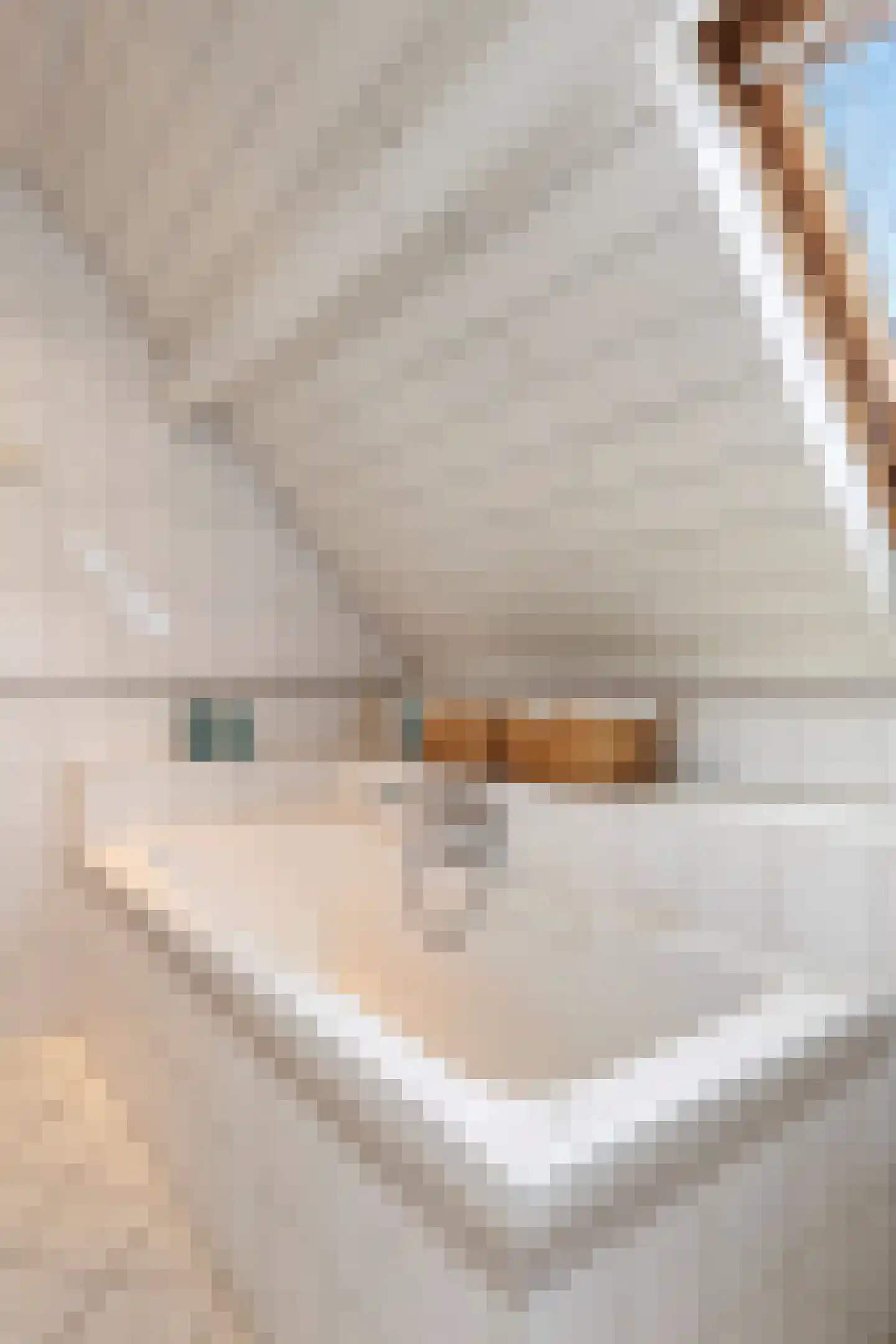 Bergsebaan 4 Nispen thumbnail 21