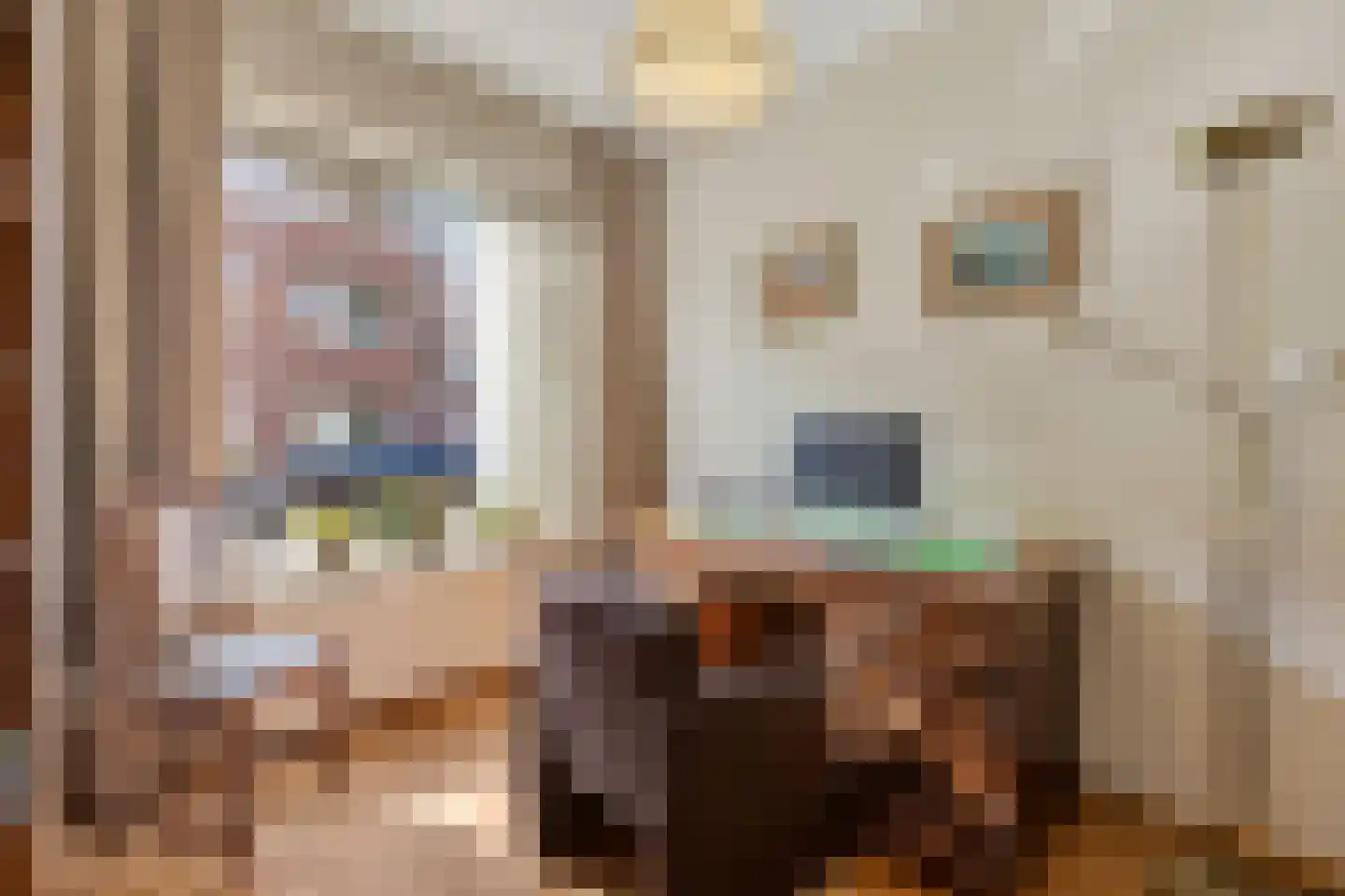 Bergsebaan 4 Nispen thumbnail 24
