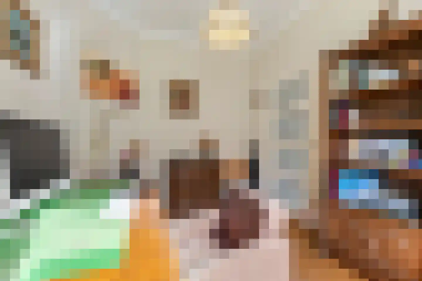 Bergsebaan 4 Nispen thumbnail 25
