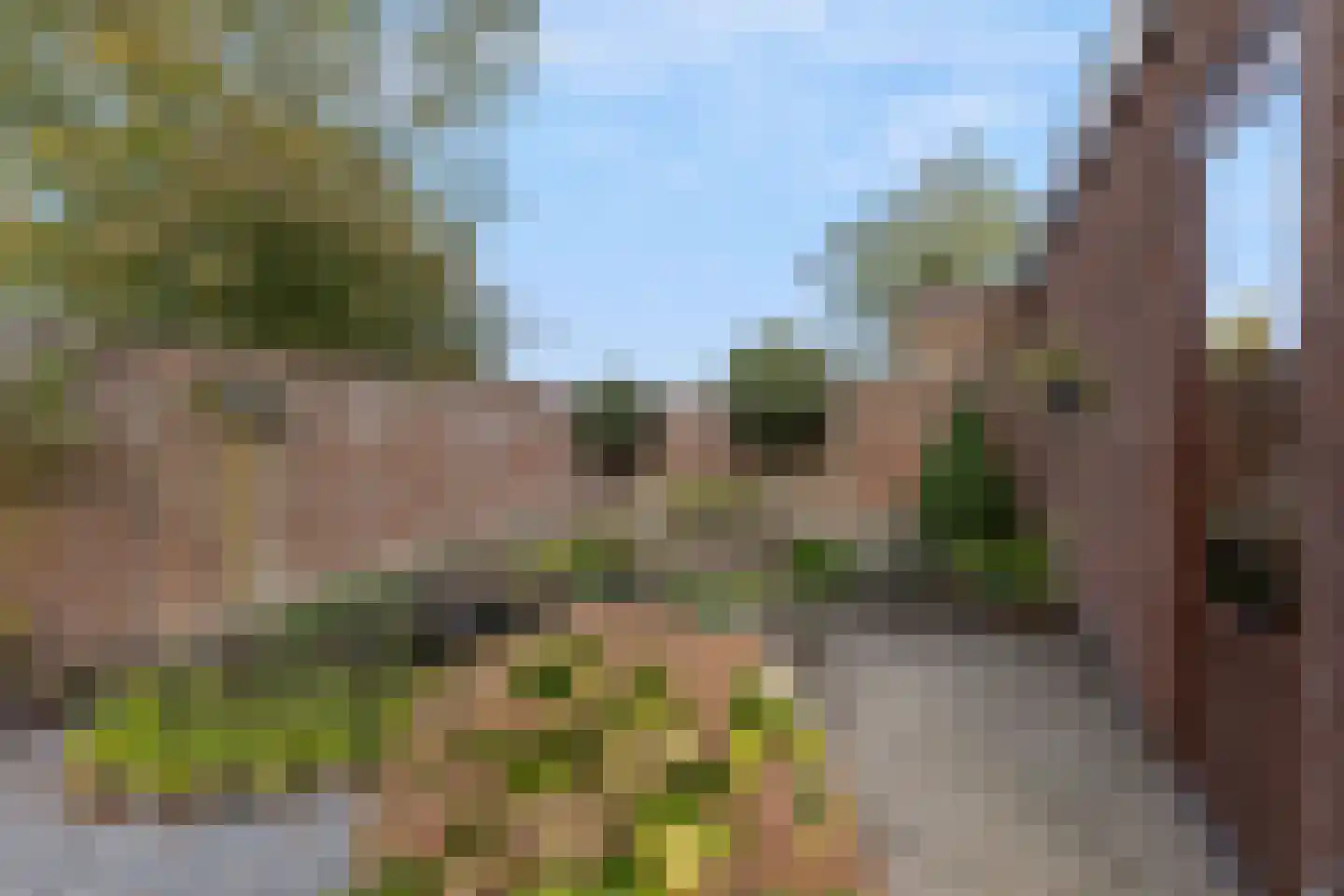 Bergsebaan 4 Nispen thumbnail 39