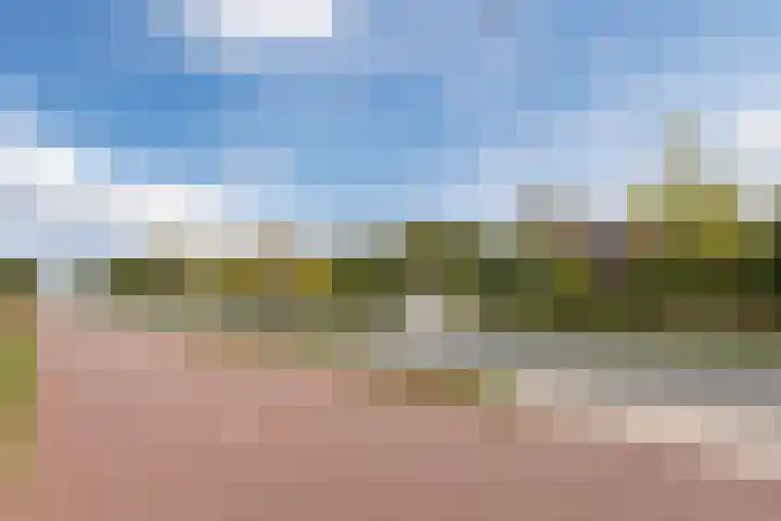 Bergsebaan 77 Heerle thumbnail 10