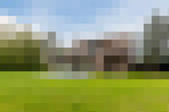 Bergsebaan 77 Heerle thumbnail 56