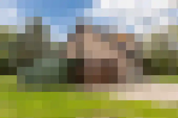Bergsebaan 77 Heerle thumbnail 58
