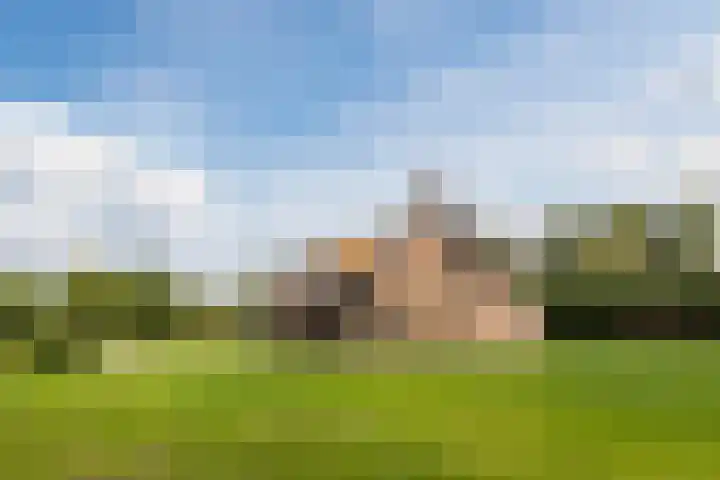 Bergsebaan 77 Heerle thumbnail 6