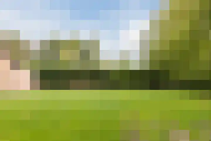 Bergsebaan 77 Heerle thumbnail 61