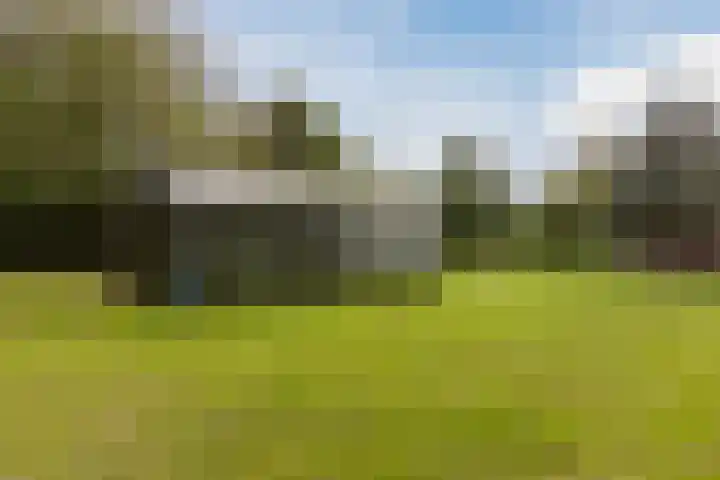 Bergsebaan 77 Heerle thumbnail 63