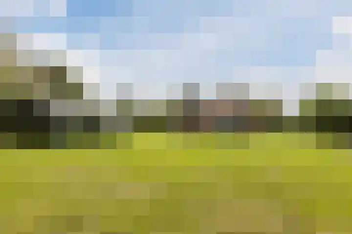 Bergsebaan 77 Heerle thumbnail 64