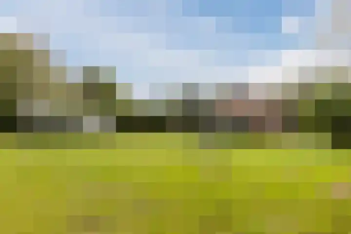 Bergsebaan 77 Heerle thumbnail 65