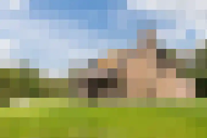 Bergsebaan 77 Heerle thumbnail 7