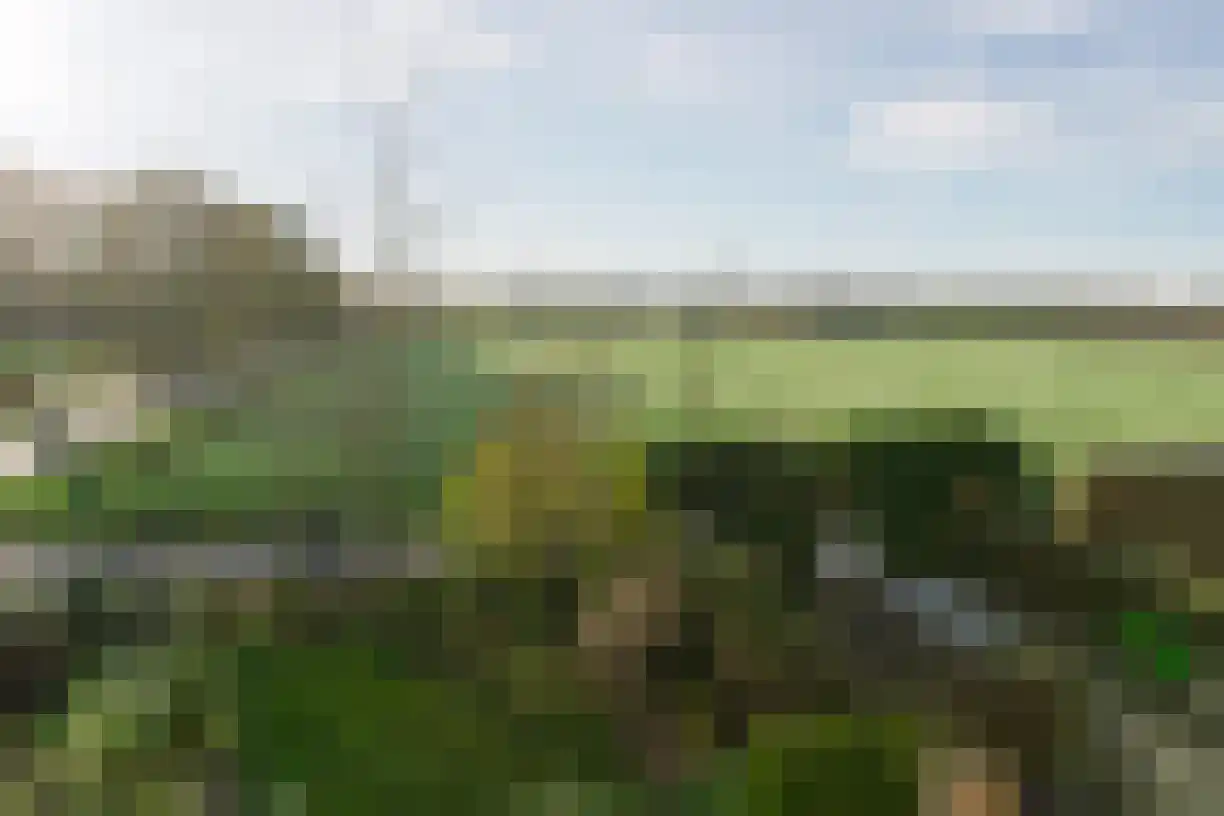 Bergsebaan 83 Bergen op Zoom thumbnail 17